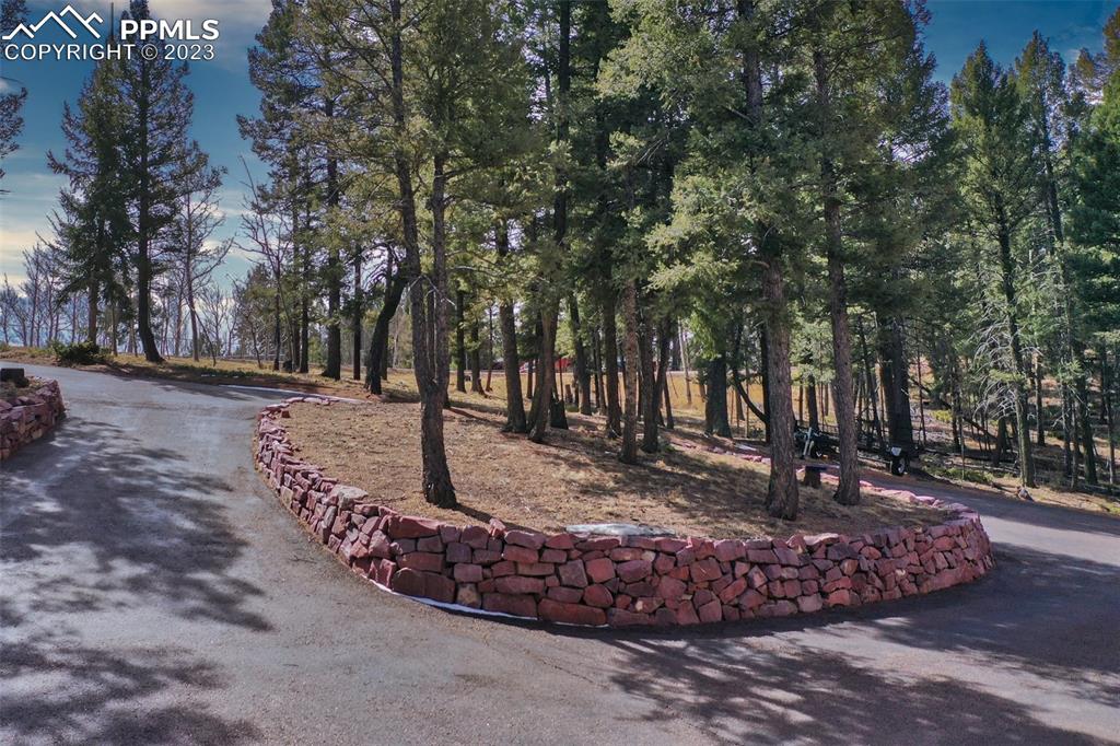 1201 County Road 512 Divide, CO 80814 - Photo 9 of 43 a view of a park with large trees