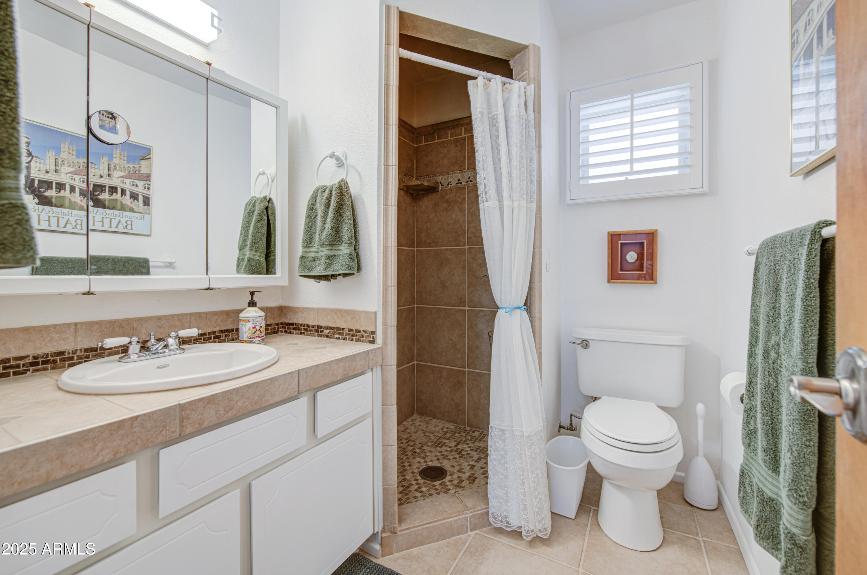 2238 North Gayridge Road Mesa, AZ 85215 - Photo 30 of 41 Bathroom 2-pic 2