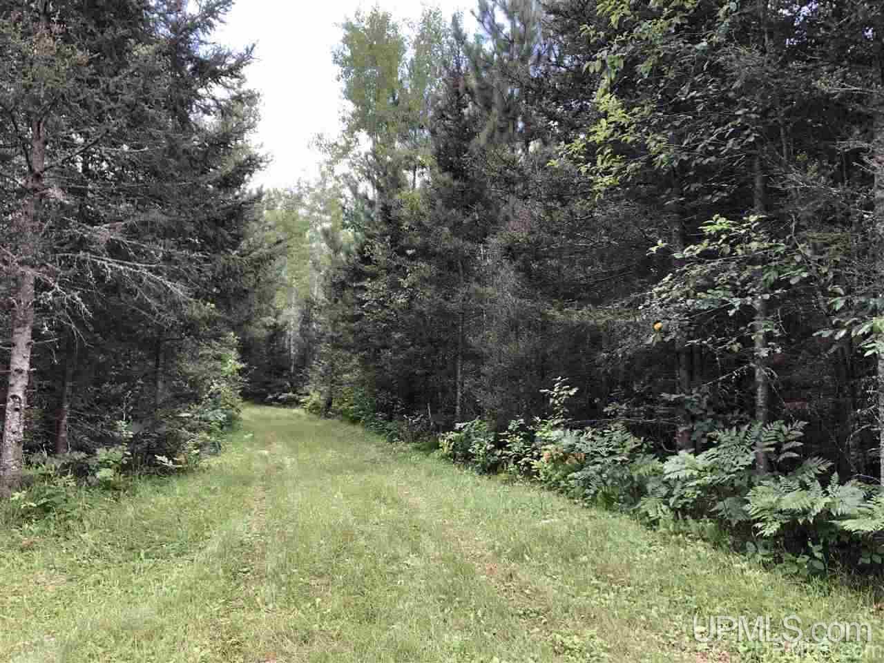 Tbd West Tower Road Ishpeming, MI 49849 - Photo 3 of 44