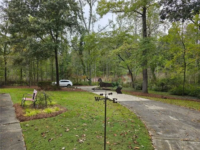 a view of a park with large trees