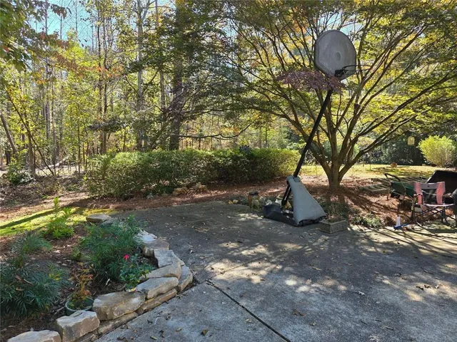 a view of a tree in the middle of a yard