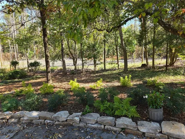a view of a yard with large trees
