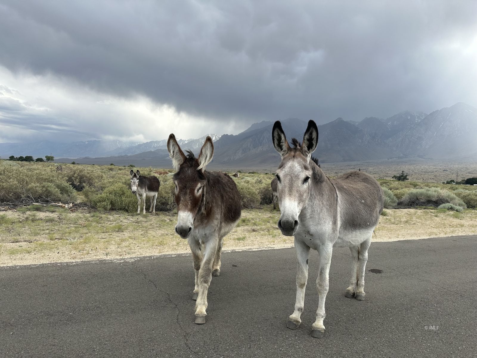 150 Tinnemaha Road, Unit C2 Big Pine, CA 93513 - Photo 28 of 28 a view of entryway