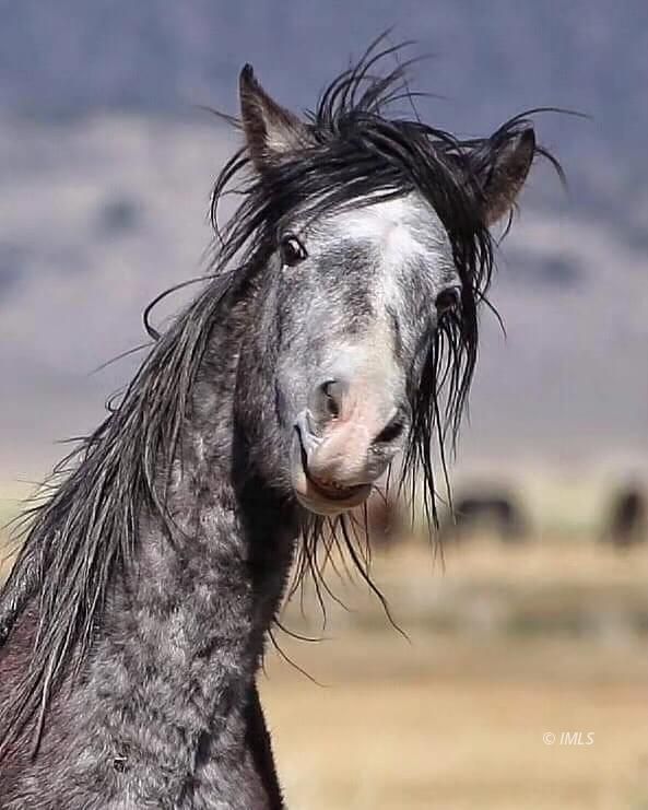 150 Tinnemaha Road, Unit C2 Big Pine, CA 93513 - Photo 9 of 28