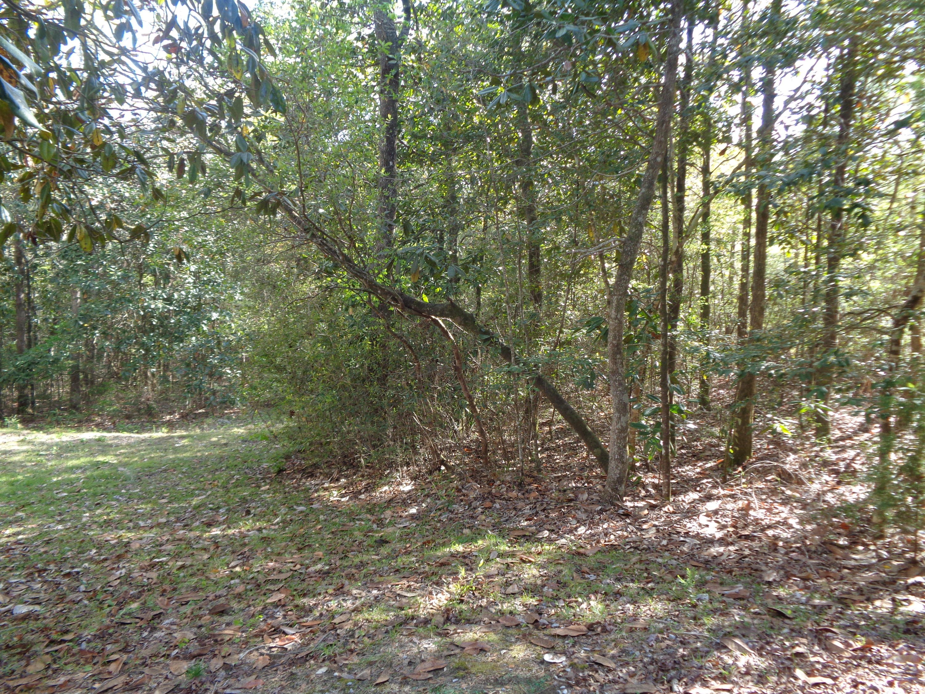 315 Mountain Valley Road DeFuniak Springs, FL 32435 - Photo 4 of 6 Mountain Valley 002