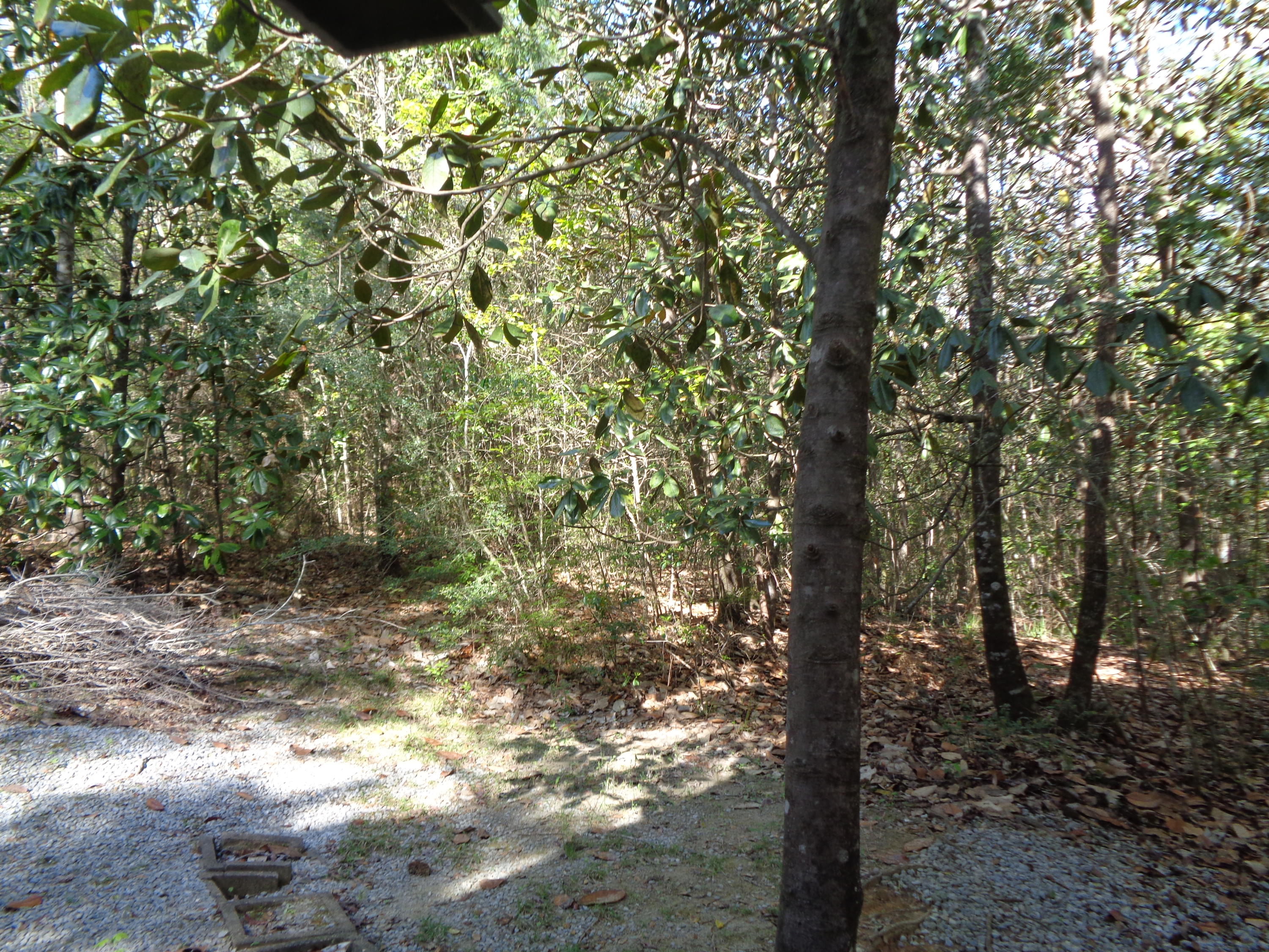 315 Mountain Valley Road DeFuniak Springs, FL 32435 - Photo 5 of 6 Mountain Valley 005