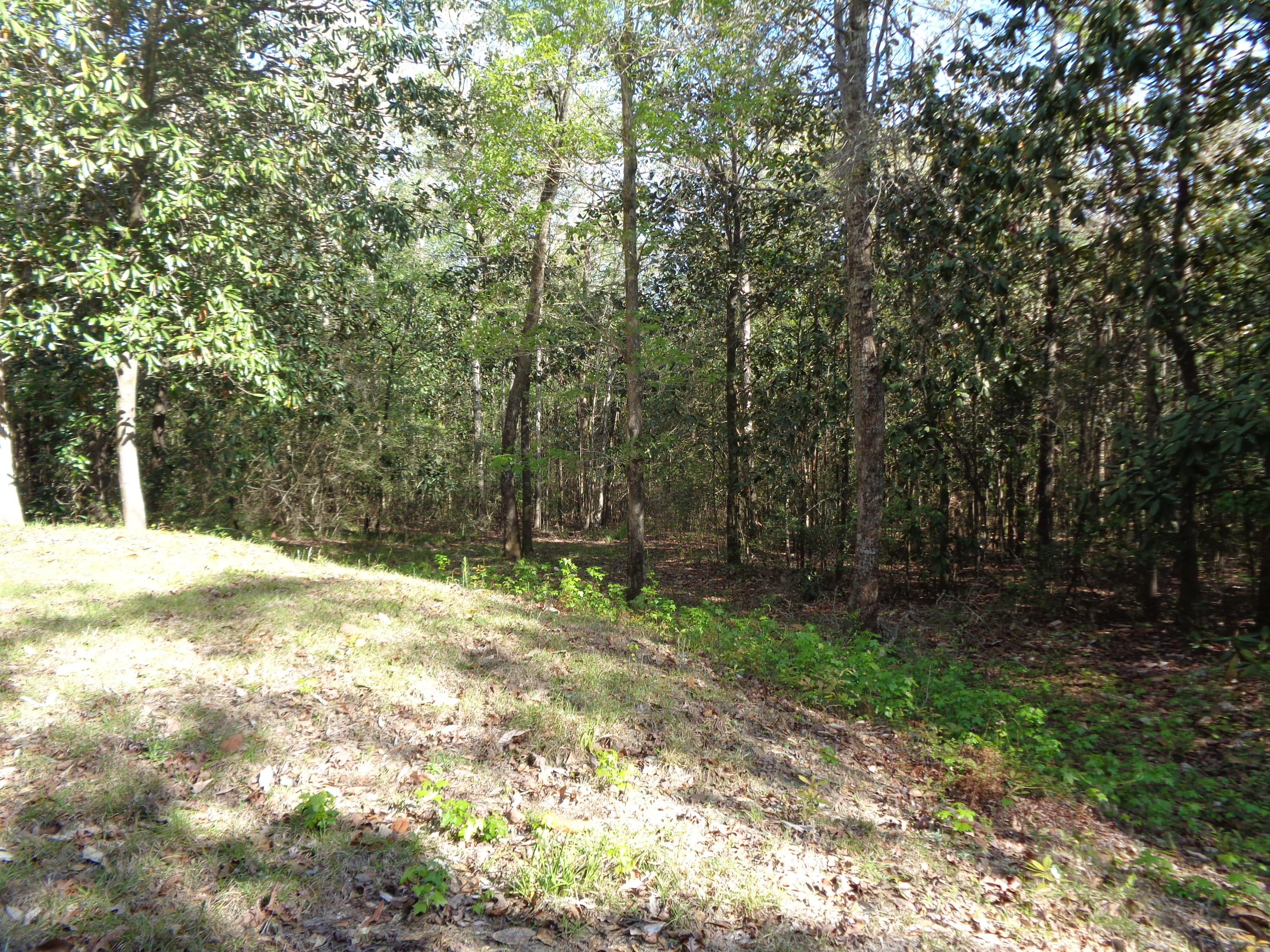 315 Mountain Valley Road DeFuniak Springs, FL 32435 - Photo 6 of 6 Mountain Valley 013