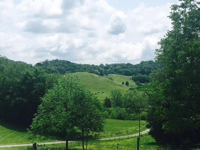 430 Smith Chapel Road Tullahoma, TN 37388 - Photo 2 of 30 Gallery Image 2