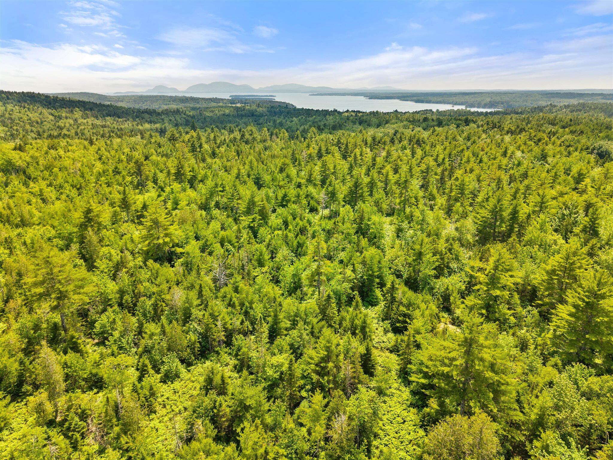 0 Catamount Road Sullivan, ME 04664 - Photo 12 of 23 12-Bert Gray Rd