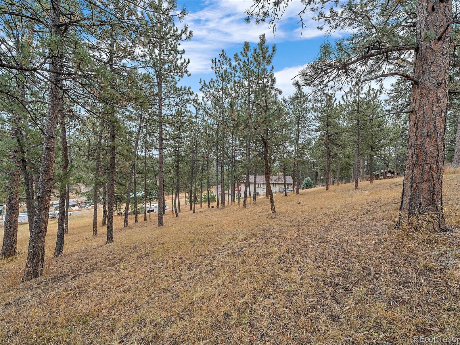 27422 Pine Valley Drive Evergreen, CO 80439 - Photo 34 of 42 a view of outdoor space with trees