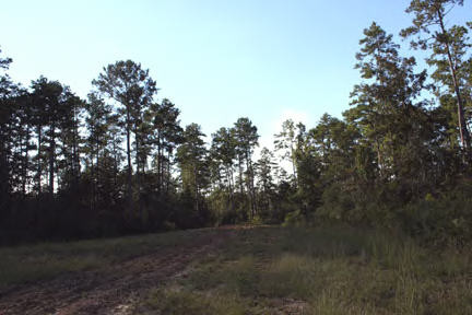 West Topisaw Road Tylertown, MS 39667 - Photo 1 of 1 Main View