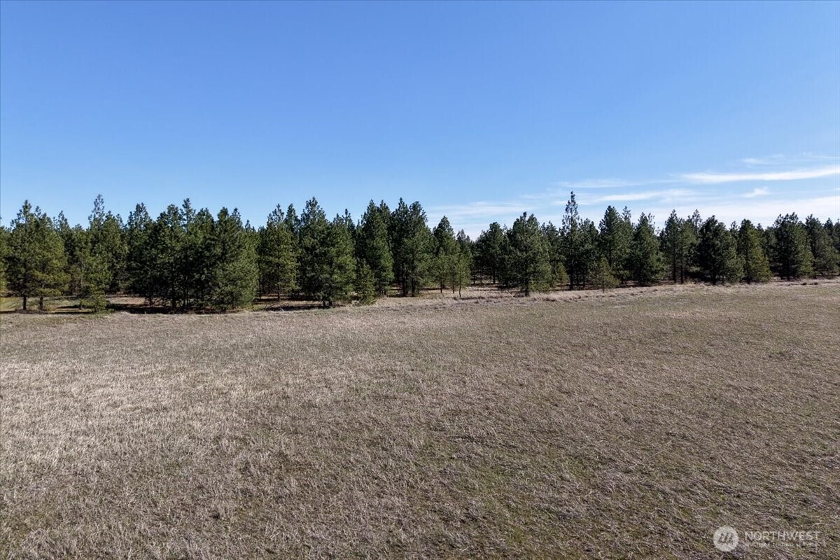 7410 South Hayford Road Spokane, WA 99224 - Photo 14 of 20 Gallery Image 14
