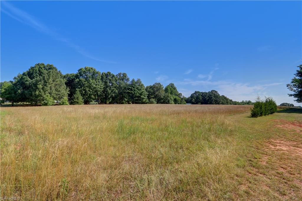 154 Sigmon Road Pelham, NC 27311 - Photo 34 of 43 Side yard