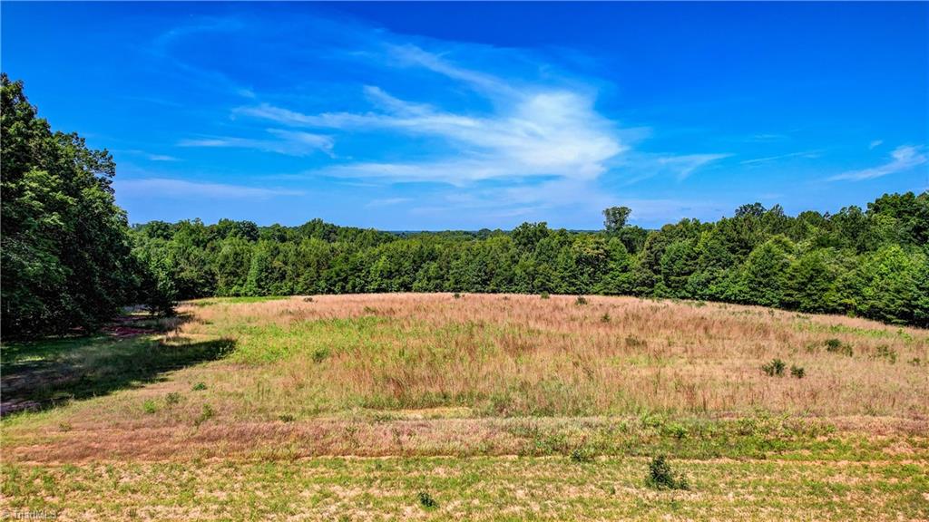 154 Sigmon Road Pelham, NC 27311 - Photo 36 of 43 Field back of house