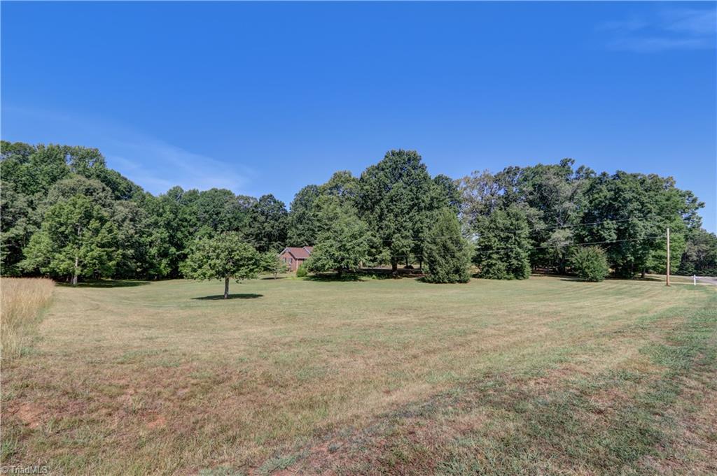 154 Sigmon Road Pelham, NC 27311 - Photo 4 of 43 Front yard