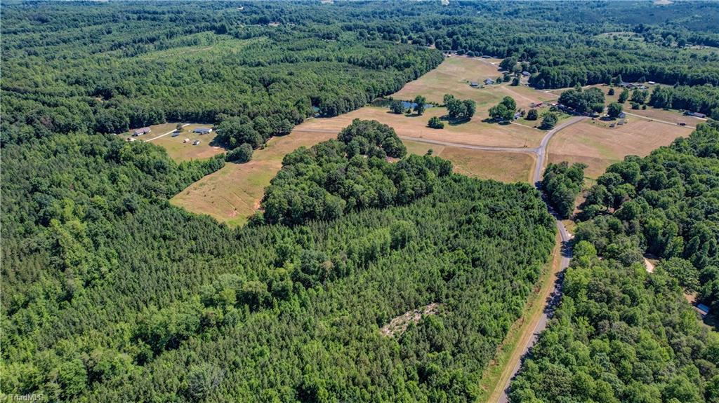 154 Sigmon Road Pelham, NC 27311 - Photo 42 of 43 view from end of Bradley road looking back toward Sigmon Rd