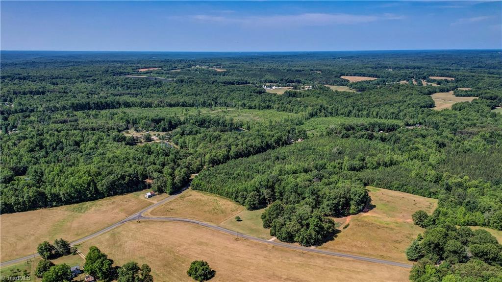 154 Sigmon Road Pelham, NC 27311 - Photo 6 of 43