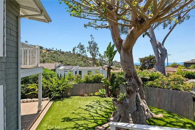 a view of a yard with plants and large trees