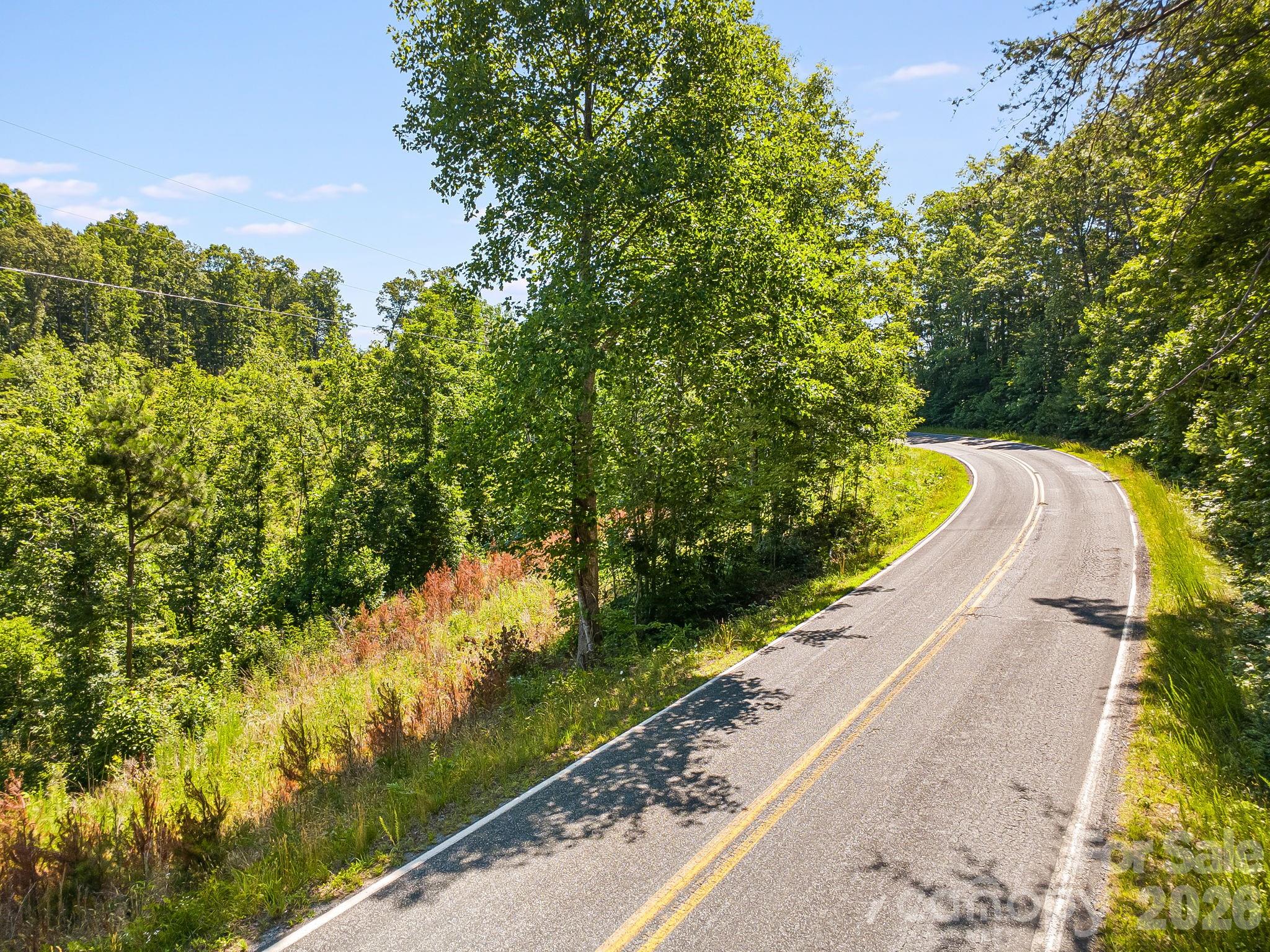 Lot #2 Clark Road Rutherfordton, NC 28139 - Photo 15 of 36