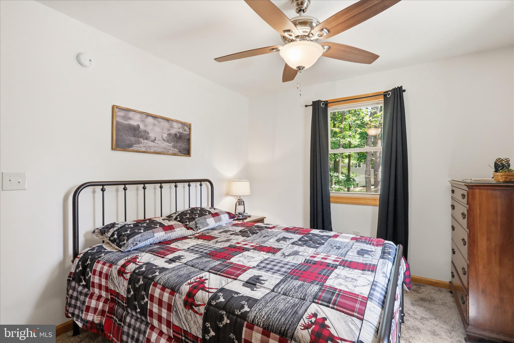 8315 Supinlick Ridge Road Mount Jackson, VA 22842 - Photo 32 of 50