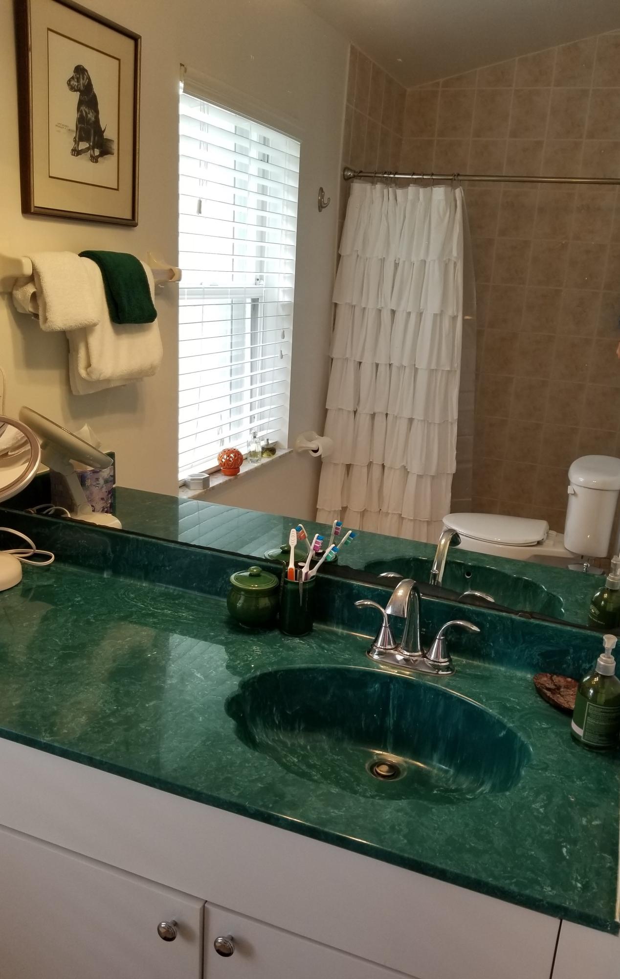 17353 82nd Road North Loxahatchee, FL 33470 - Photo 14 of 31 Master Bath
