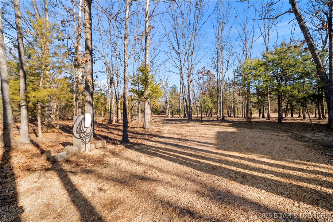 21255 Lark Road Lebanon, MO 65536 - Photo 68 of 75 Driveway