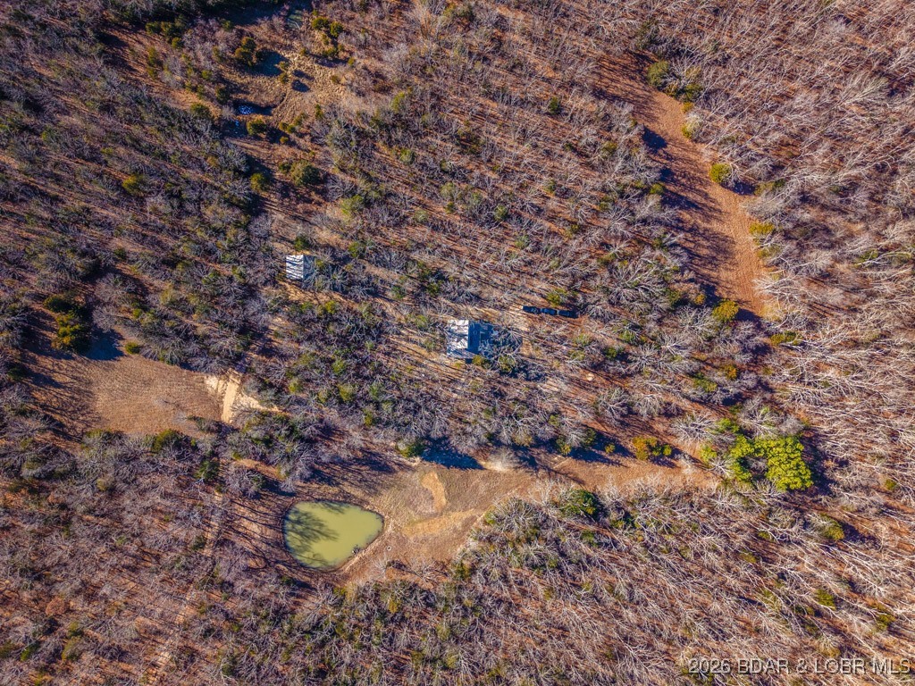 21255 Lark Road Lebanon, MO 65536 - Photo 71 of 75 Sits on 100 Private Acres w/ Stocked Pond