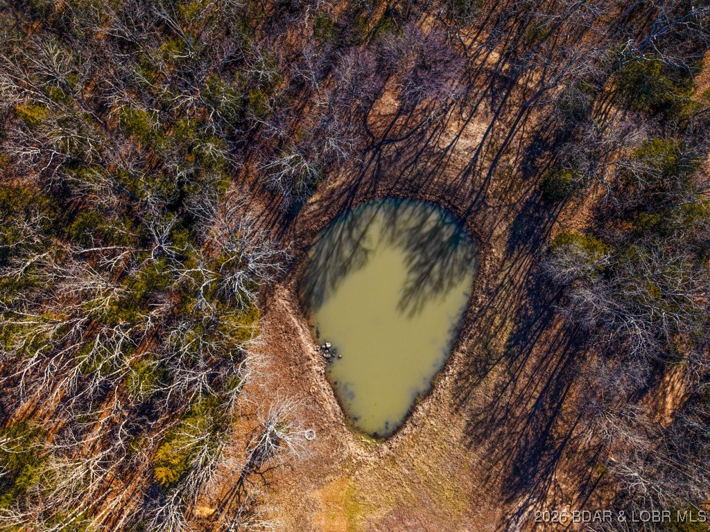 21255 Lark Road Lebanon, MO 65536 - Photo 74 of 75 Private, Stocked Pond