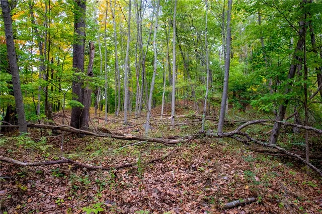 $15,900,000 | 325-361 Old Post Road, Bedford, NY 10506