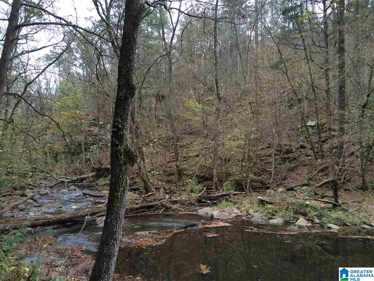 Posey Lane, Unit 11 Union Grove, AL 35175 - Photo 3 of 12