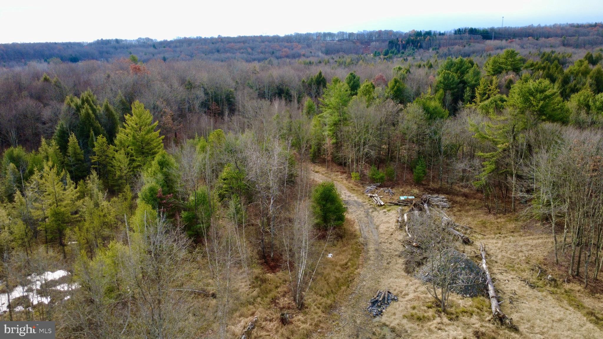 1042 Lower Hollow Road Morrisdale, PA 16858 - Photo 4 of 9 a view of a lush green forest with trees in the background