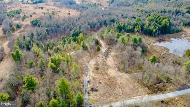 a view of a plant with a yard