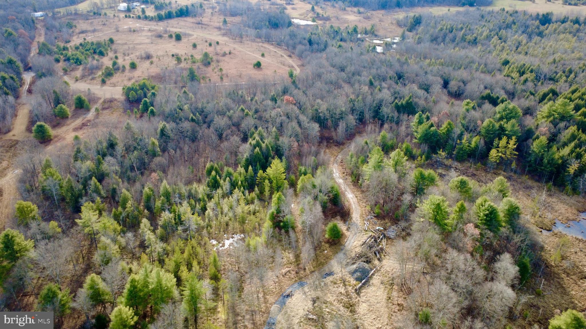 1042 Lower Hollow Road Morrisdale, PA 16858 - Photo 6 of 9 a view of a garden with large trees