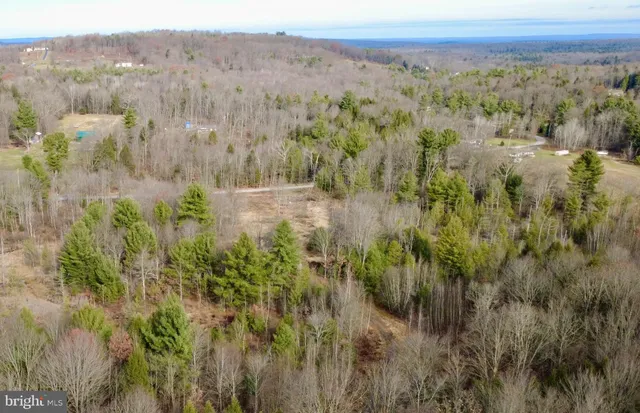 a view of a lush green forest with trees and some houses