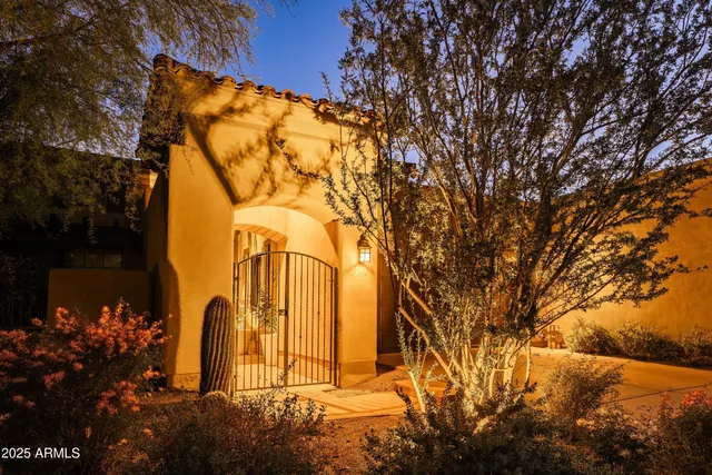 a view of a bunch of flowers