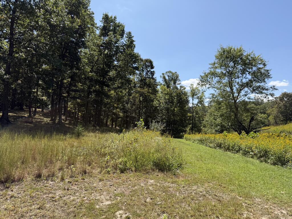 2443 Bruce Allen Road Hinton, WV 25951 - Photo 39 of 75 Gallery Image 39