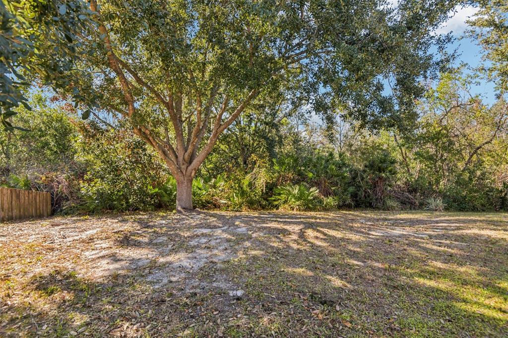 5410 Treig Lane Wesley Chapel, FL 33545 - Photo 31 of 36