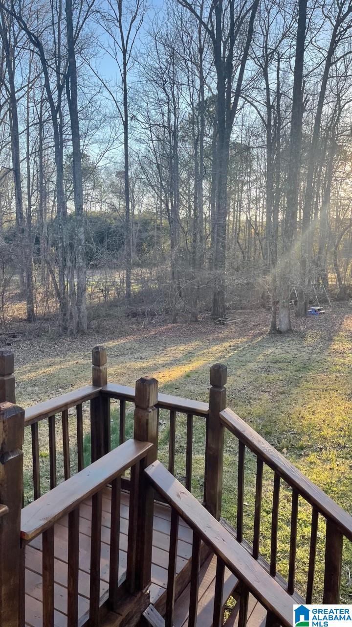 557 Pleasant Valley Farms Road Brierfield, AL 35035 - Photo 35 of 39