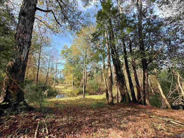 $95,000 | 66238 Highway 1058, Roseland, LA 70456