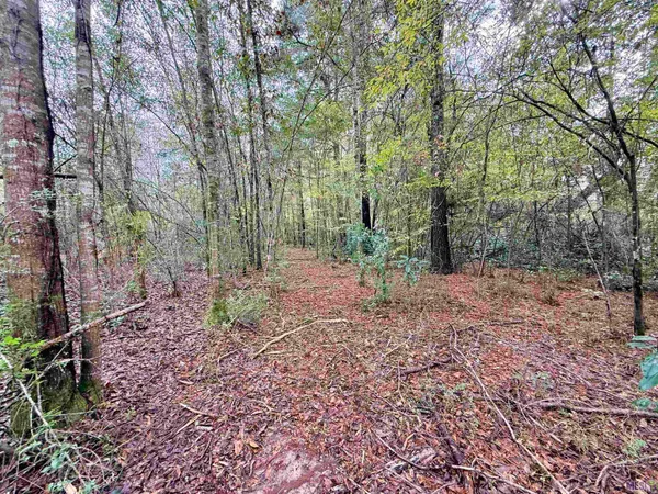 $95,000 | 66238 Highway 1058, Roseland, LA 70456