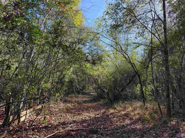 $95,000 | 66238 Highway 1058, Roseland, LA 70456