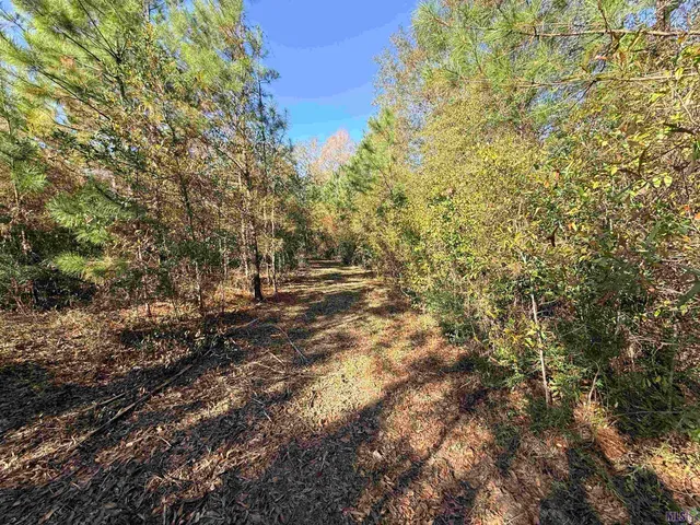 $99,900 | 66238 Highway 1058, Roseland, LA 70456