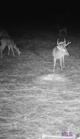 $99,900 | 66238 Highway 1058, Roseland, LA 70456