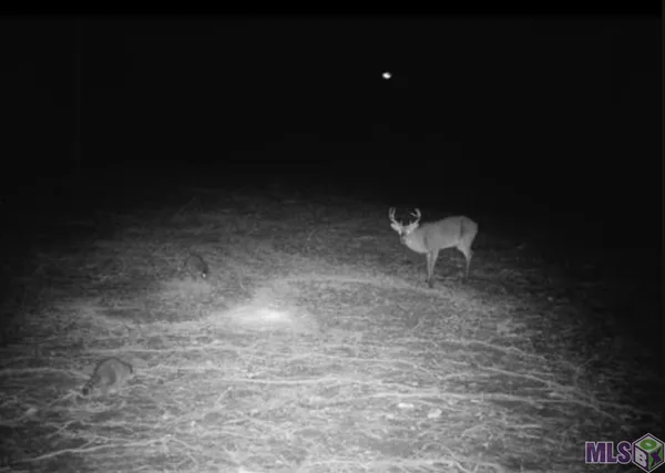 $95,000 | 66238 Highway 1058, Roseland, LA 70456