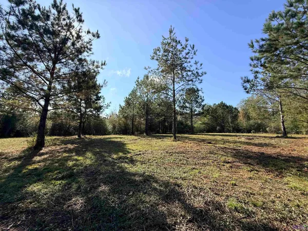 $95,000 | 66238 Highway 1058, Roseland, LA 70456