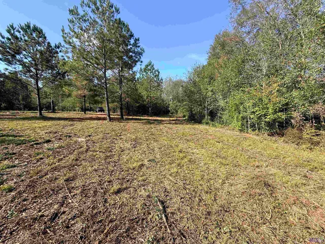 $99,900 | 66238 Highway 1058, Roseland, LA 70456