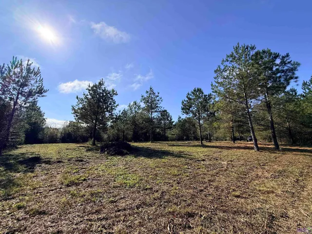 $99,900 | 66238 Highway 1058, Roseland, LA 70456