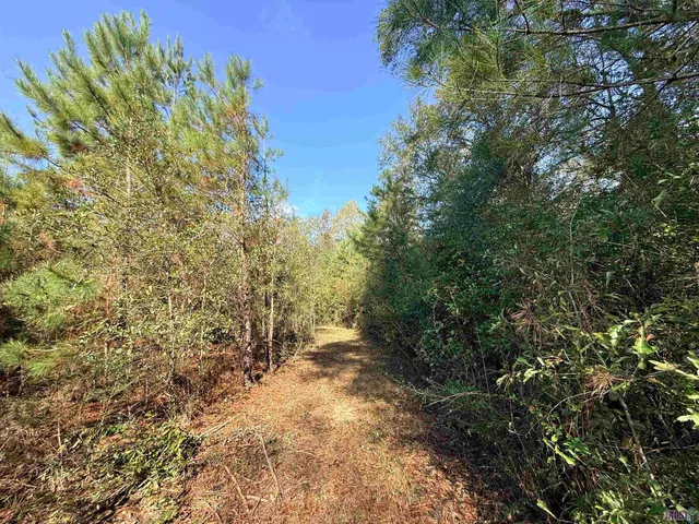 $99,900 | 66238 Highway 1058, Roseland, LA 70456