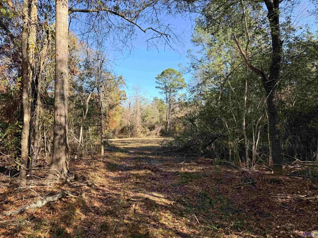 $99,900 | 66238 Highway 1058, Roseland, LA 70456