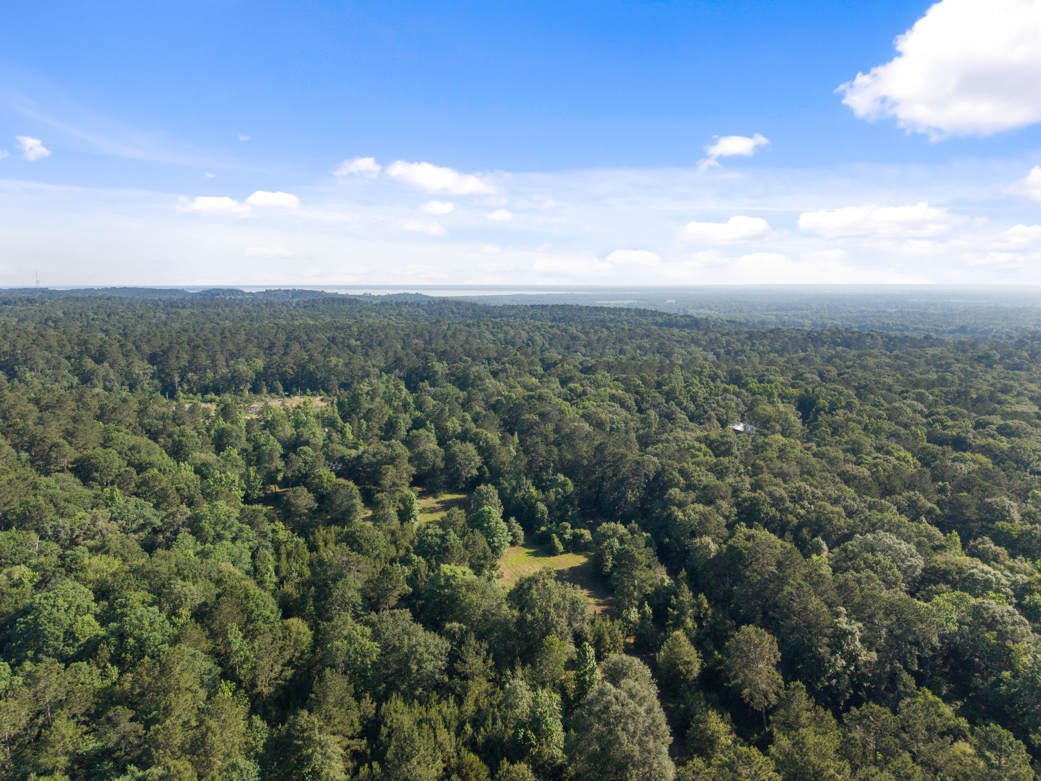 200 Spring Ridge Road Coldspring, TX 77331 - Photo 9 of 18 a view of city and green space